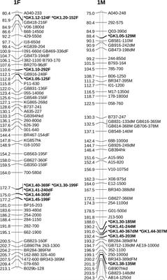 New Sources of Eastern Filbert Blight Resistance and Simple Sequence Repeat Markers on Linkage Group 6 in Hazelnut (Corylus avellana L.)